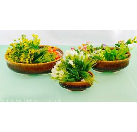 Set Of 3 Plate Shape Ceramic Pot